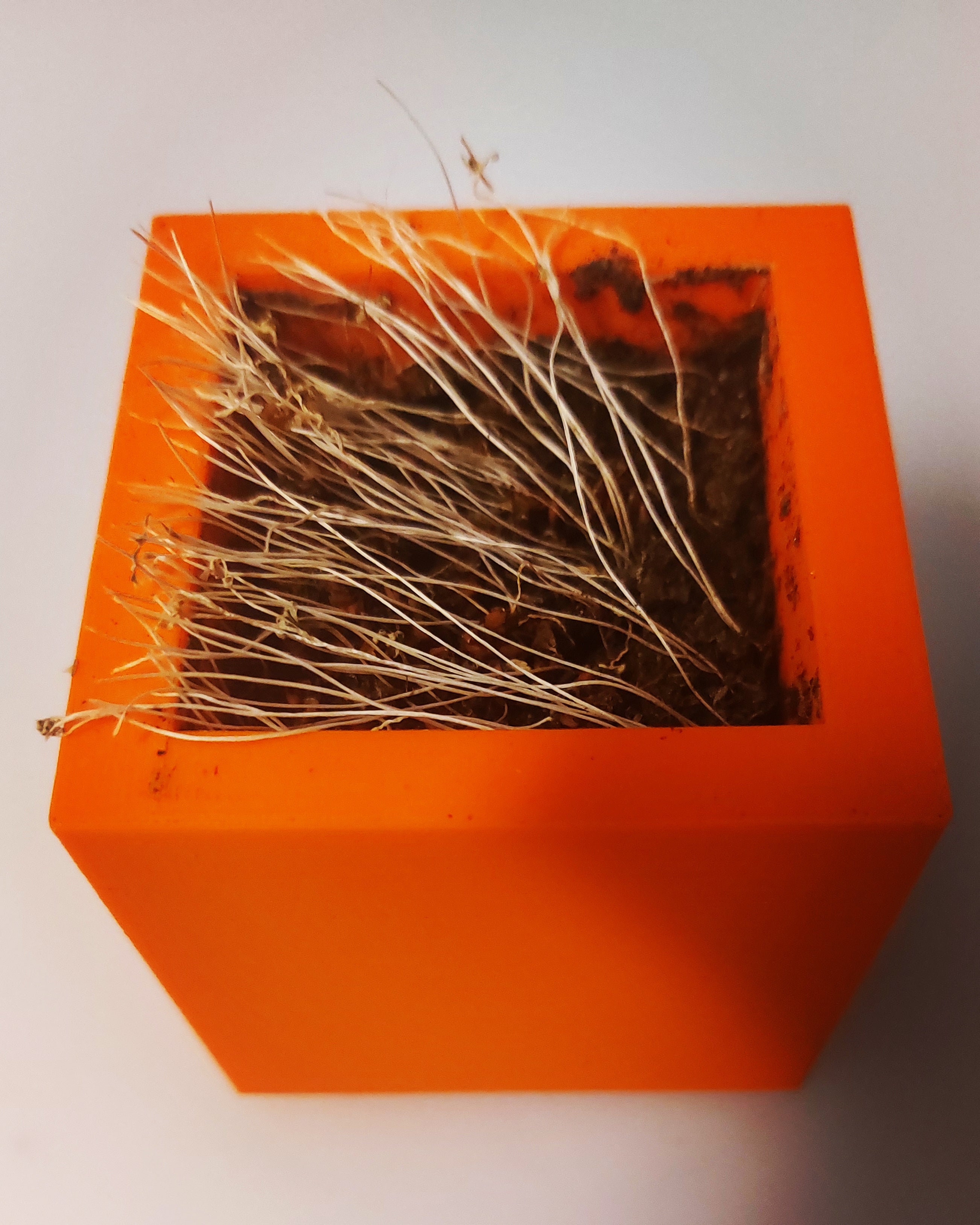 small cube plant pot