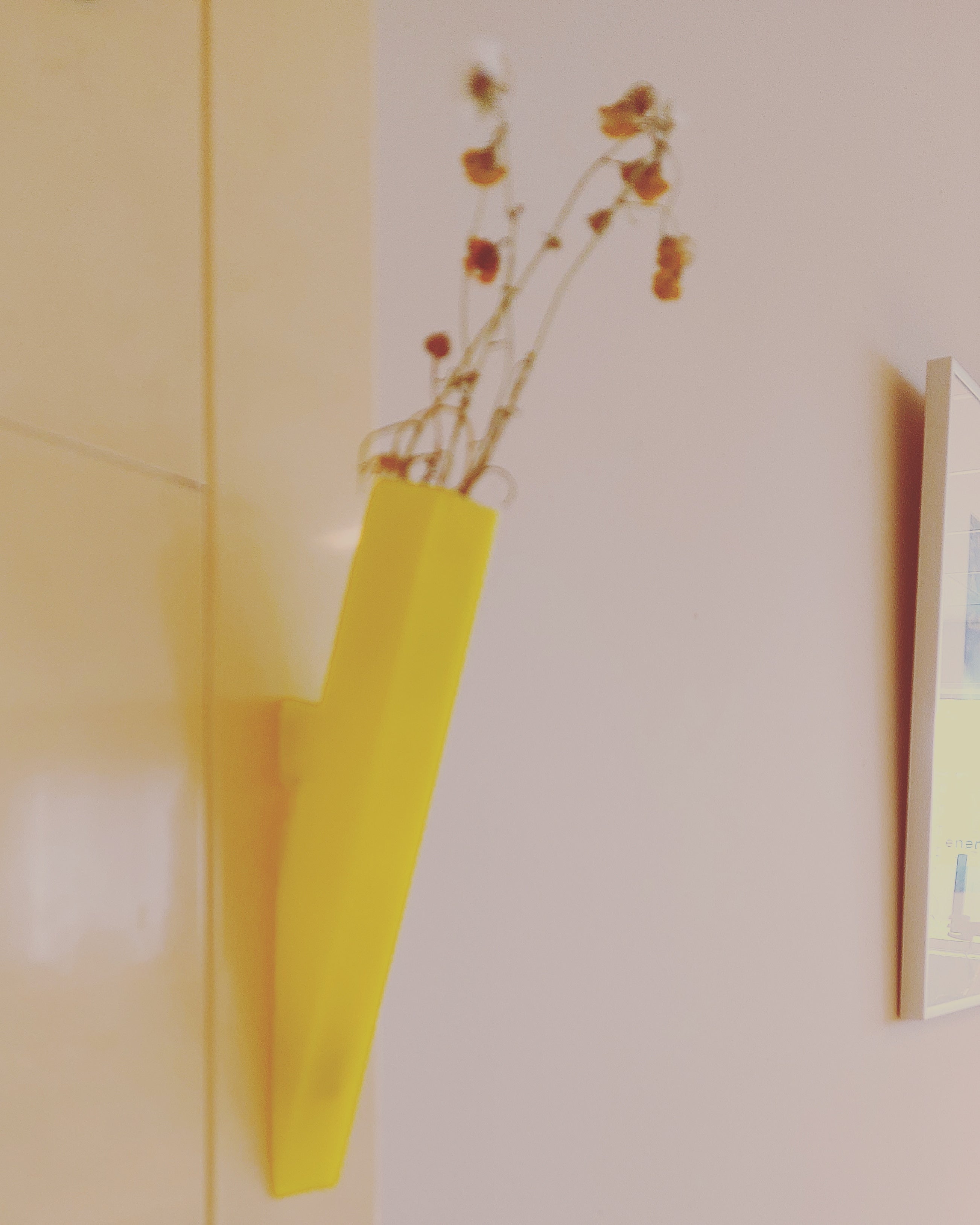 wall (magnetic) vase